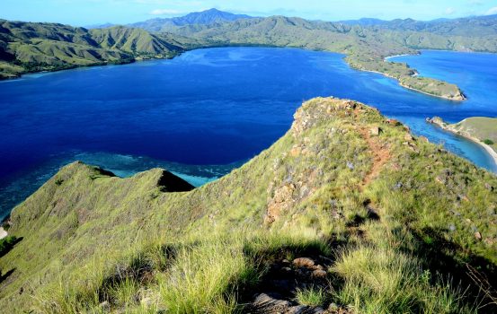 Komodo National Park – Celebrating its 37th Anniversary