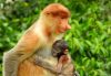 Authentic Jungle Experiences That Help Local Communities