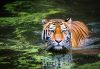 Ecotourism – it’s time to make a difference